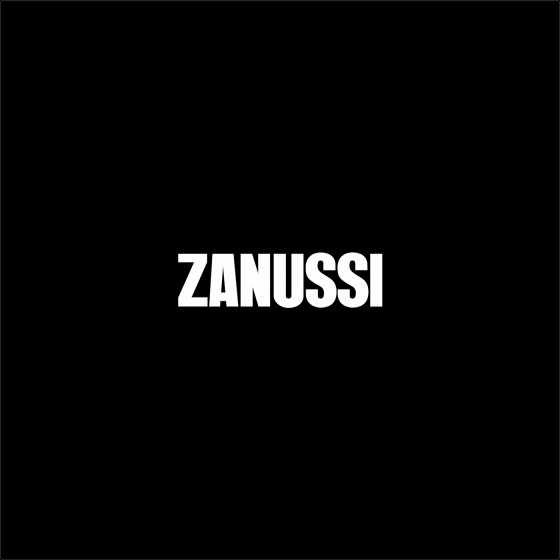 Превью проекта Zanussi.